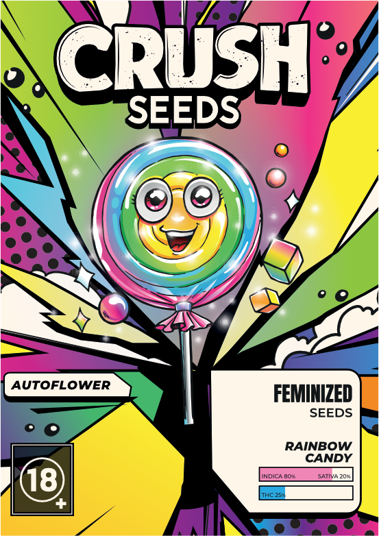 Rainbow Candy Autoflower Cannabis Samen