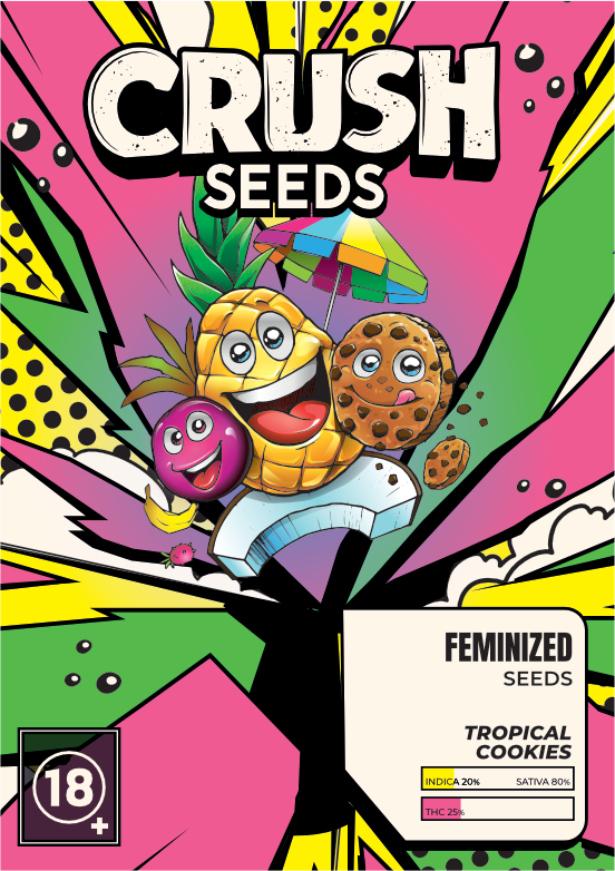 Tropical Cookies Cannabis Samen