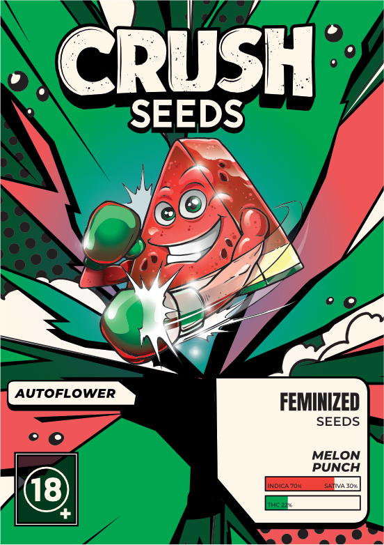 Watermelon Punch Autoflower Cannabis Samen