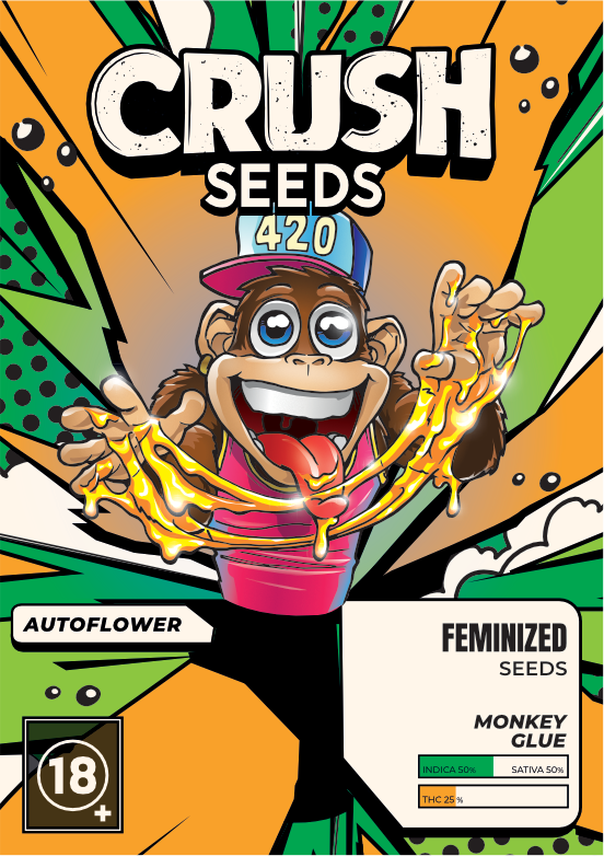 Monkey Glue Autoflower Cannabis Samen